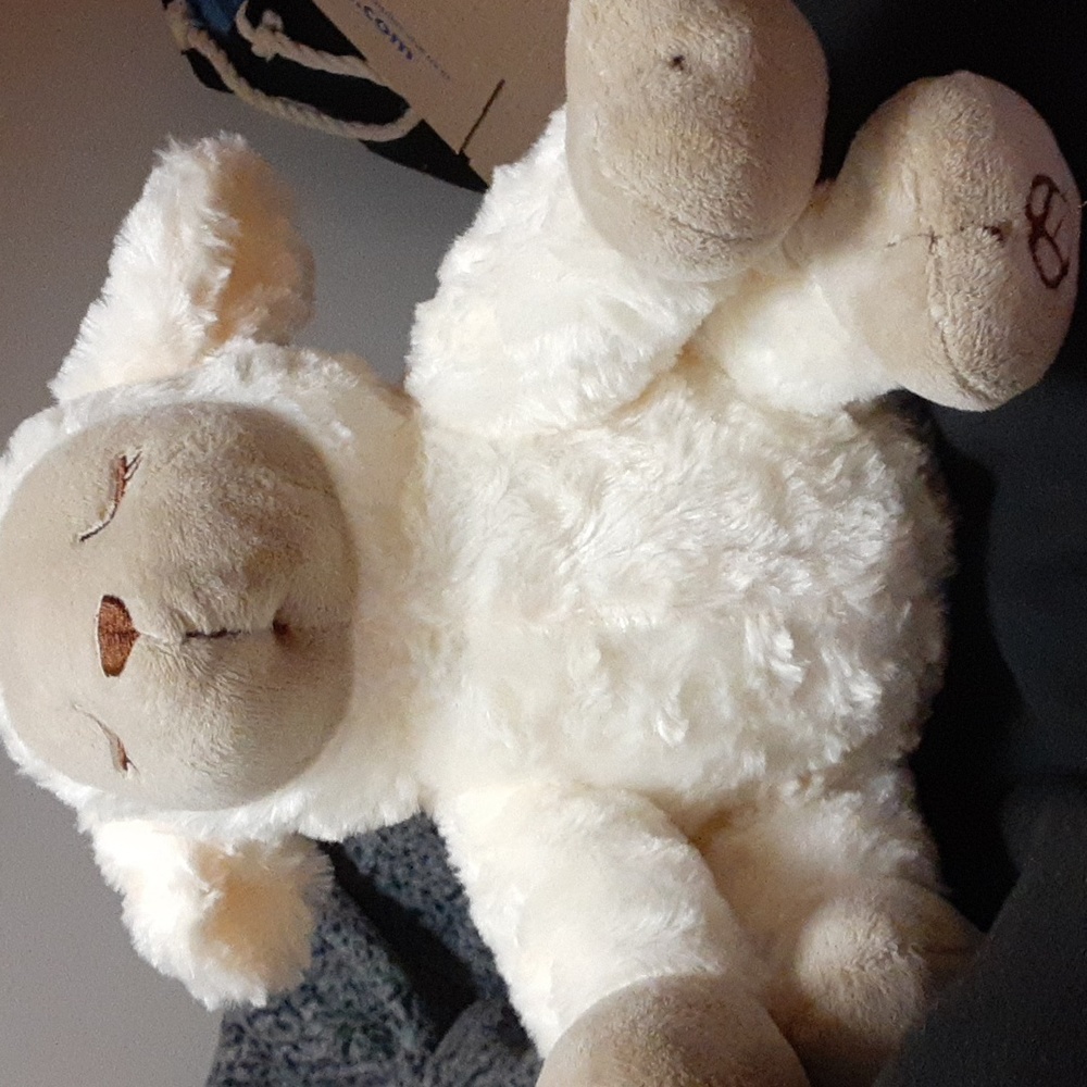 Swaddle Me Melody Soothing Plush Lamb ( Works)